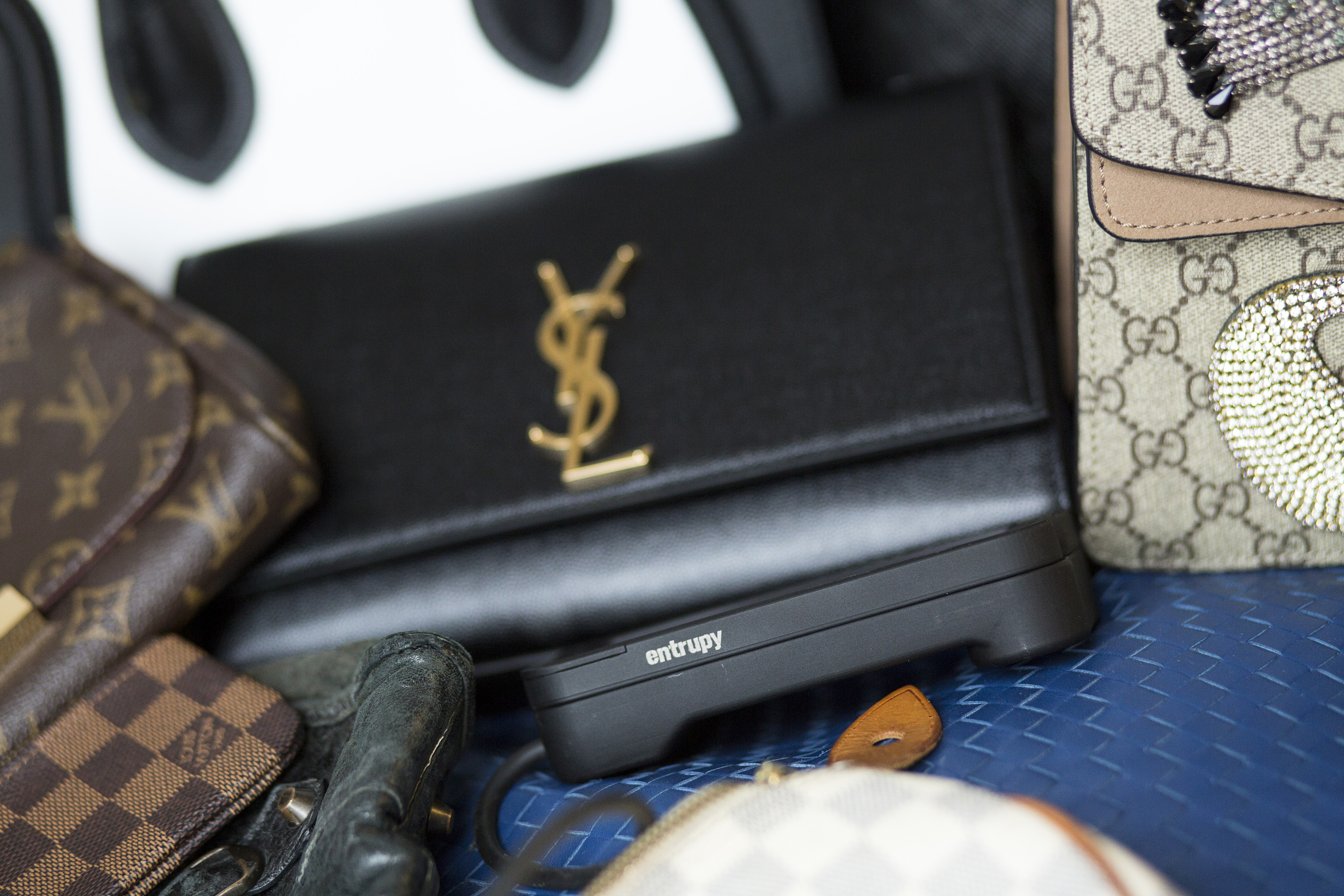 Luxury accessories - Saint Laurent , Louis Vuitton