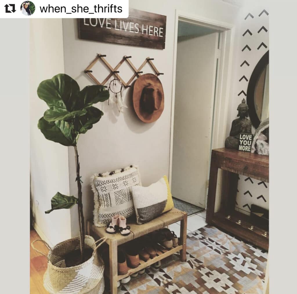 Entryway for daily essentials with a shoe rack, plant, and hat