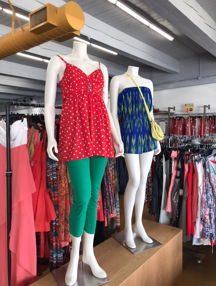 Two mannequins displayed inside Goodwill Store & Donation Center in Lake Forest