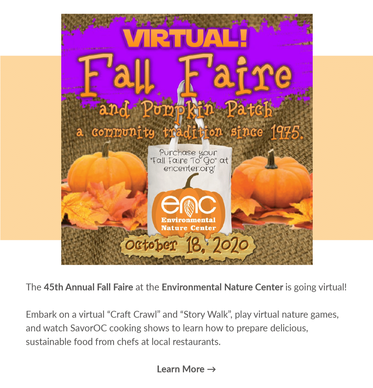 Halloween poster for 45th Fall faire at Environmental nature center