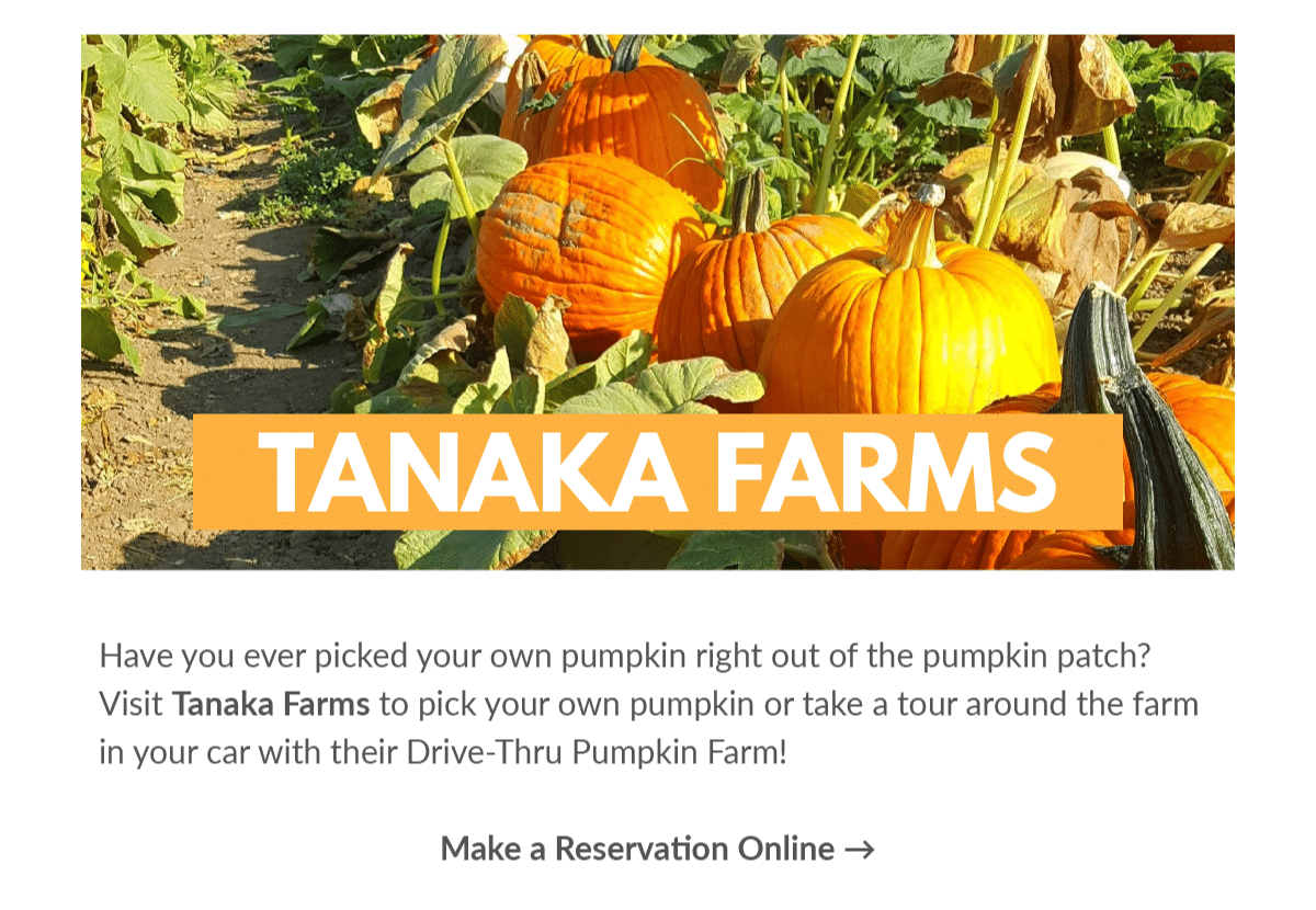 Tanaka Farms