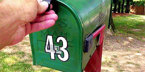 Dog-Mail Good News